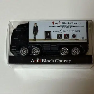 Acid Black Cherry 미니카