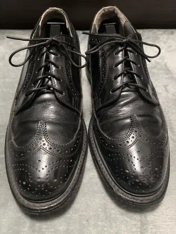 Florsheim 윙팁 US9 1/2