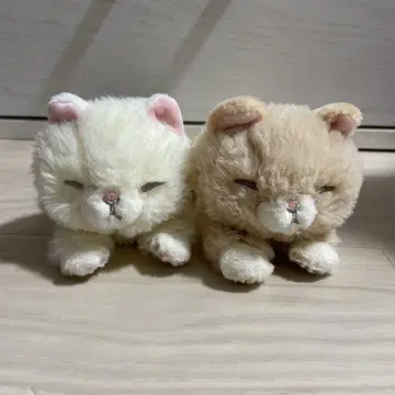 고양이 봉제 인형