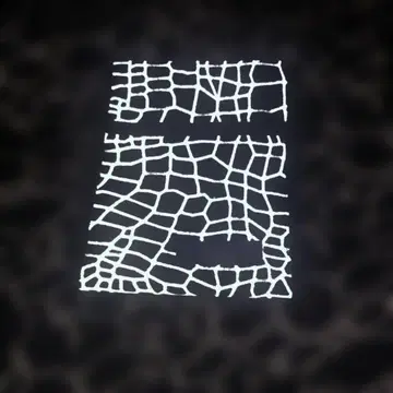 NEXUSVII 크로커다일 패턴 패스 케이스