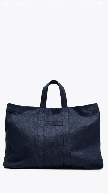 ZARA x Fangle Lin 토트백