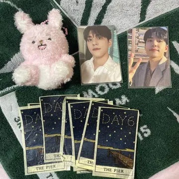 DENIMALZ PLUSH SITTING PIL 데니멀즈 day6 필