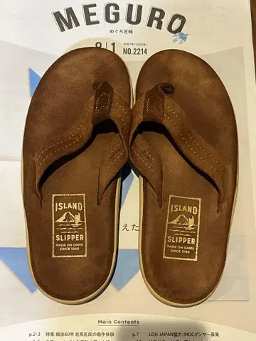 ISLAND SLIPPER 스웨이드 샌들 6
