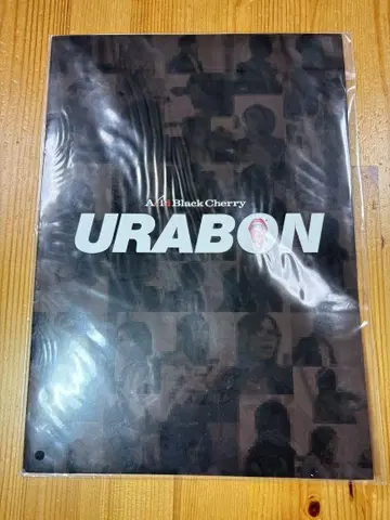 [미개봉 새상품] Acid Black Cherry URABON