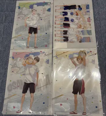 하이큐 파일 컬러 비치 모티브
