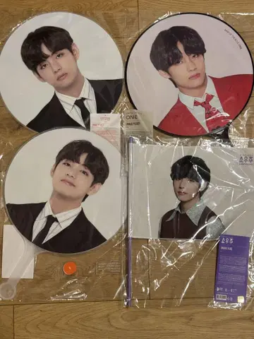 BTS V 태태 부채 IMAGE PICKET MOS LYS 5점 세트