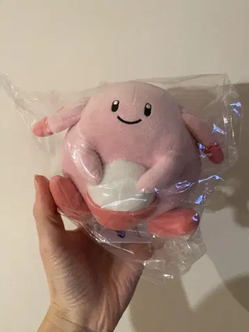 포켓몬스터 럭키 봉제 인형