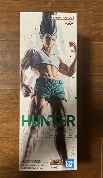 HUNTER x HUNTER 곤 프릭스 피규어
