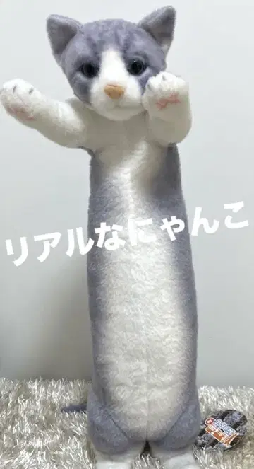 리얼 냥코