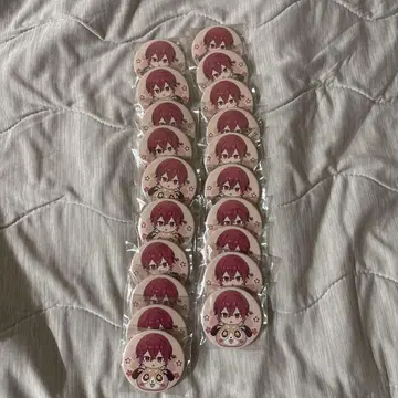 우라시마사카타센 봄 투어 아야 아호노사카타 토나리노사카타 캔뱃지