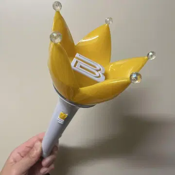 BIGBANG 응원봉