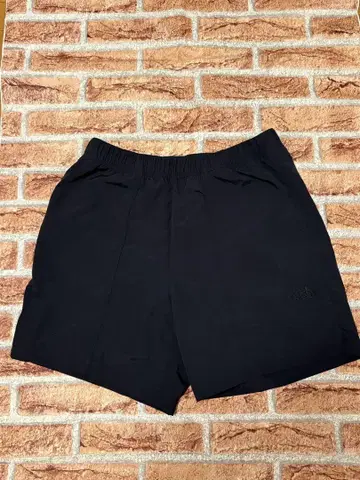 The North Face 블랙 숏팬츠