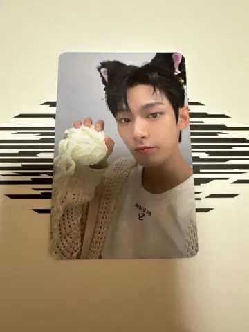 AHOF 트레이딩 카드 스티븐