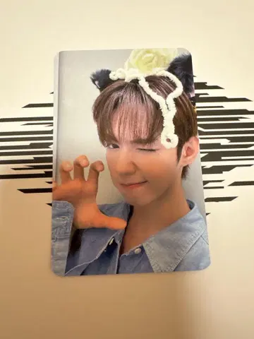AHOF 트레이딩 카드 JL