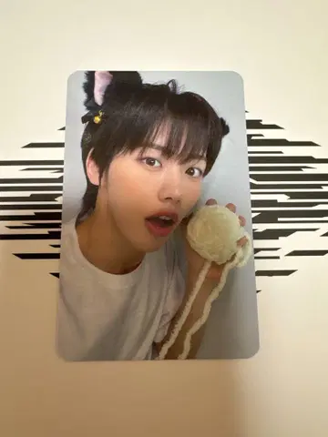 AHOF 트레이딩 카드 웅기
