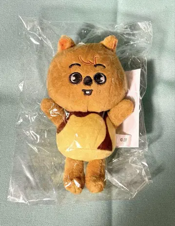 SKZOO 백참 한 쿼카 straykids
