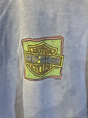 Harley-Davidson 티셔츠 L 라이트 블루