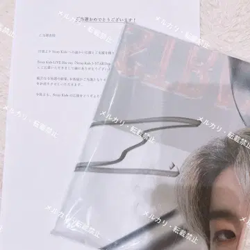 straykids 한 친필 사인 플래그