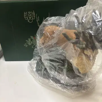 모노노케 히메 시시가미 님 디오라마