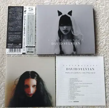 David Sylvian CD