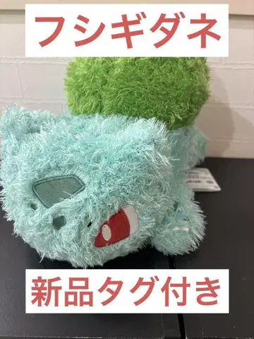 이상해씨 택 포함 새상품 포켓몬 모후굿토 편안한 타임 봉제 인형