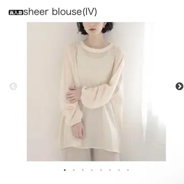 howdy. sheer blouse (IV)