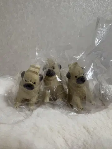 오리와 개 퍼그