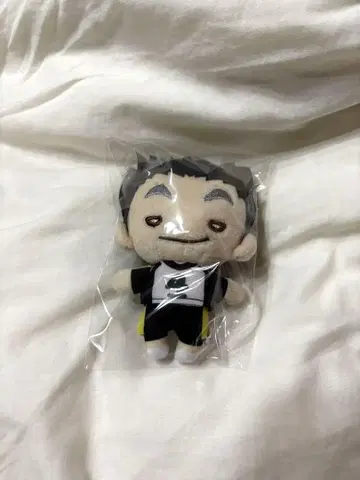 하이큐 보쿠토 코타로 봉제인형 니토탄