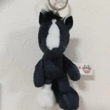 NICI 키링 이퀴녹스