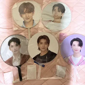 Seventeen 세븐틴 조슈아 부채 묶음 판매