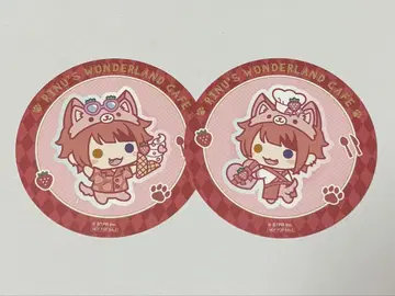 리이누 군 코스터