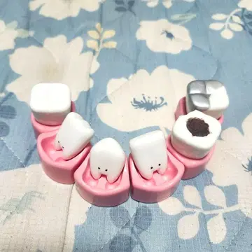 안녕하세요 이빨 전체 6종 세트 캡슐 토이
