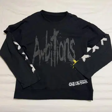 ONE OK ROCK Ambitions 2017 롱티 L