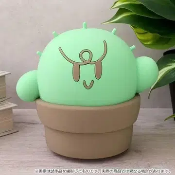 구치츠보 룸 라이트