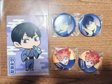 하이큐 여름 축제 트레이딩 캔뱃지 카게야마 히나타