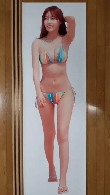 사노 히나코 등신대 포스터