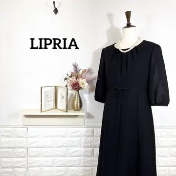 LIPRIA 블랙 포멀 11호 원피스 여름용 예복 상복 법사
