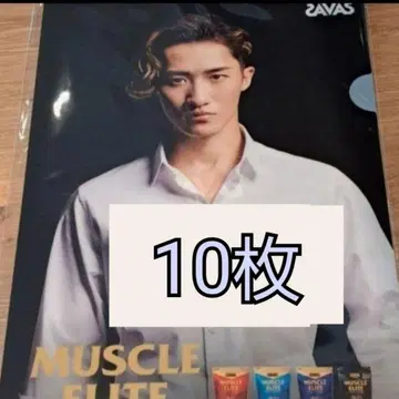 자바스 이와모토 히카루 클리어 파일 10매