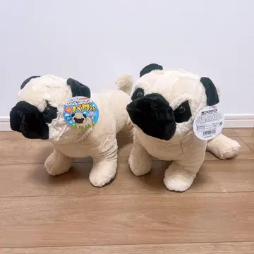 퍼그 2마리