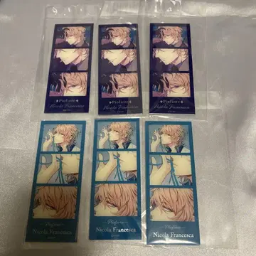 피오피오레의 만종 아크릴 포토 그레이 니콜라