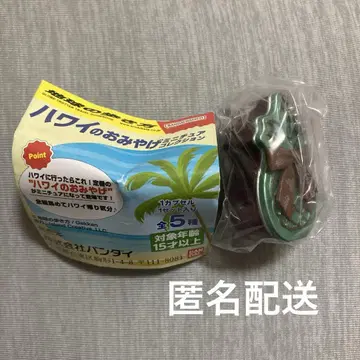 하와이 기념품 미니어처 컬렉션