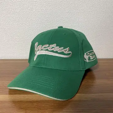 기업 로고 캡 그린