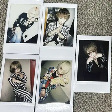 ACME CHISA 씨 체키
