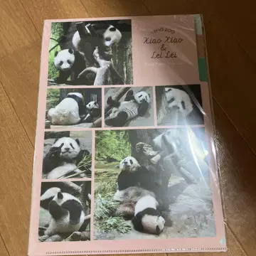팬더 클리어 파일 샤오샤오와 레이레이