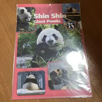 자이언트판다 신신 리리 클리어파일
