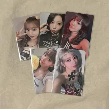 사쿠라 shopee kpopmerch 세트 묶음 판매 트레이딩 카드