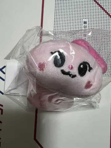 Niziu 미이히 똑딱이 밴드