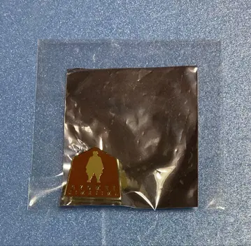 귀멸의 칼날 기둥전 핀즈 컬렉션 히메지마 교메이 실루엣