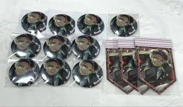 아이나나 드라코레 캔뱃지 모모 10점 특전 3장 포함