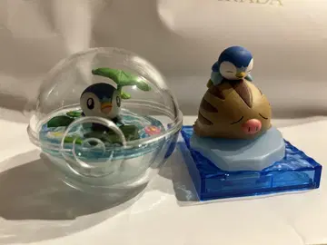 팽도리 세트